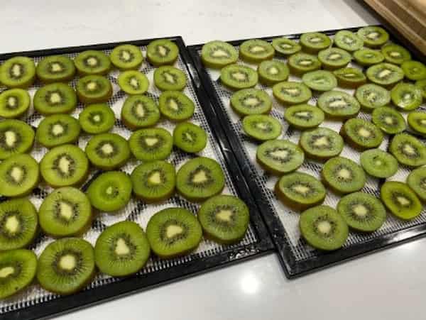 تصویر 3 از خرید و قیمت میوه خشک کیوی + فروش عمده